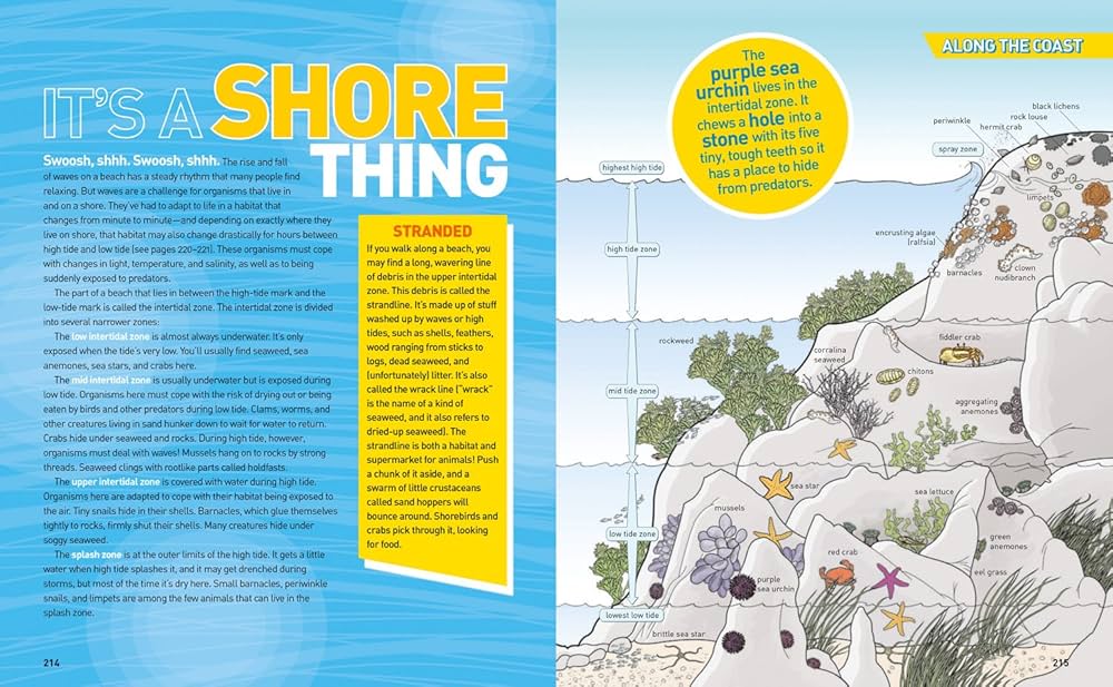 Ultimate Oceanpedia: The Most Complete Ocean Reference Ever (NGK